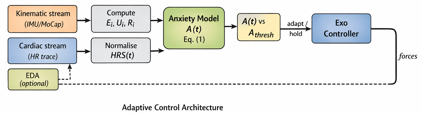 Block diagram of the closed-loop anxiety-mediated control architecture: a kinematic stream and a cardiac stream feed compute and normalise blocks, which feed the anxiety model A(t); A(t) is compared against a threshold whose output adapts the exoskeleton controller; the controller's forces feed back to the kinematic stream, and an optional EDA channel feeds the anxiety model.
